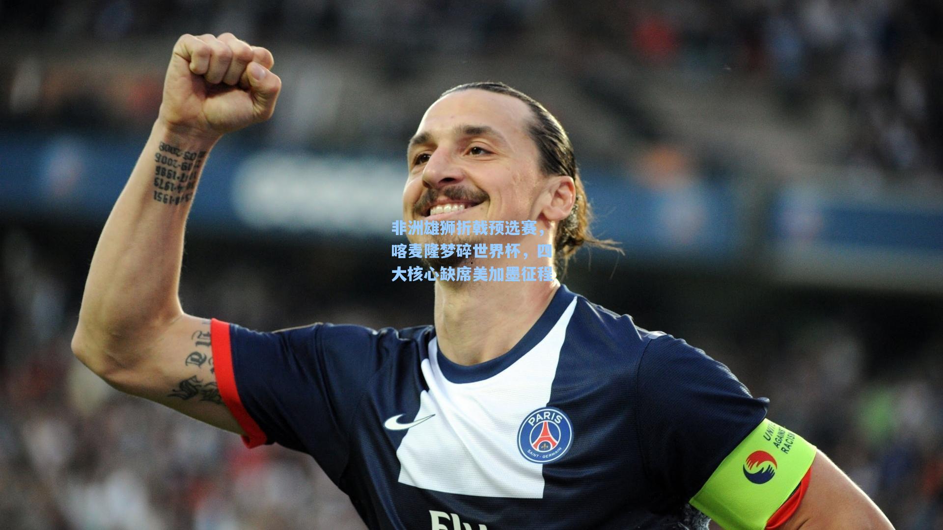 非洲雄狮折戟预选赛，喀麦隆梦碎世界杯，四大核心缺席美加墨征程